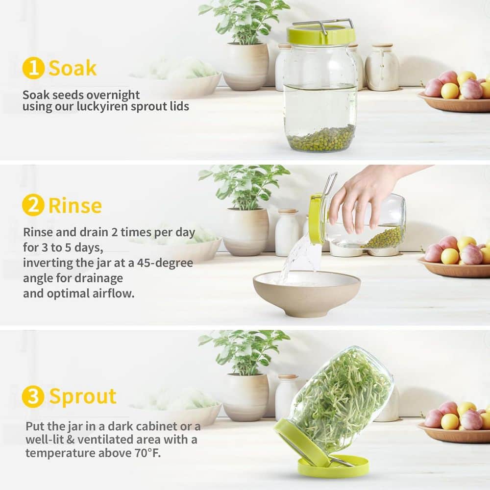 2-Pack Seed Sprouter Kit for Wide Mouth Jars w/ 316 Stainless Steel Mesh, Drip Tray andTilted Lid for Bean Sprouts - Hercitys