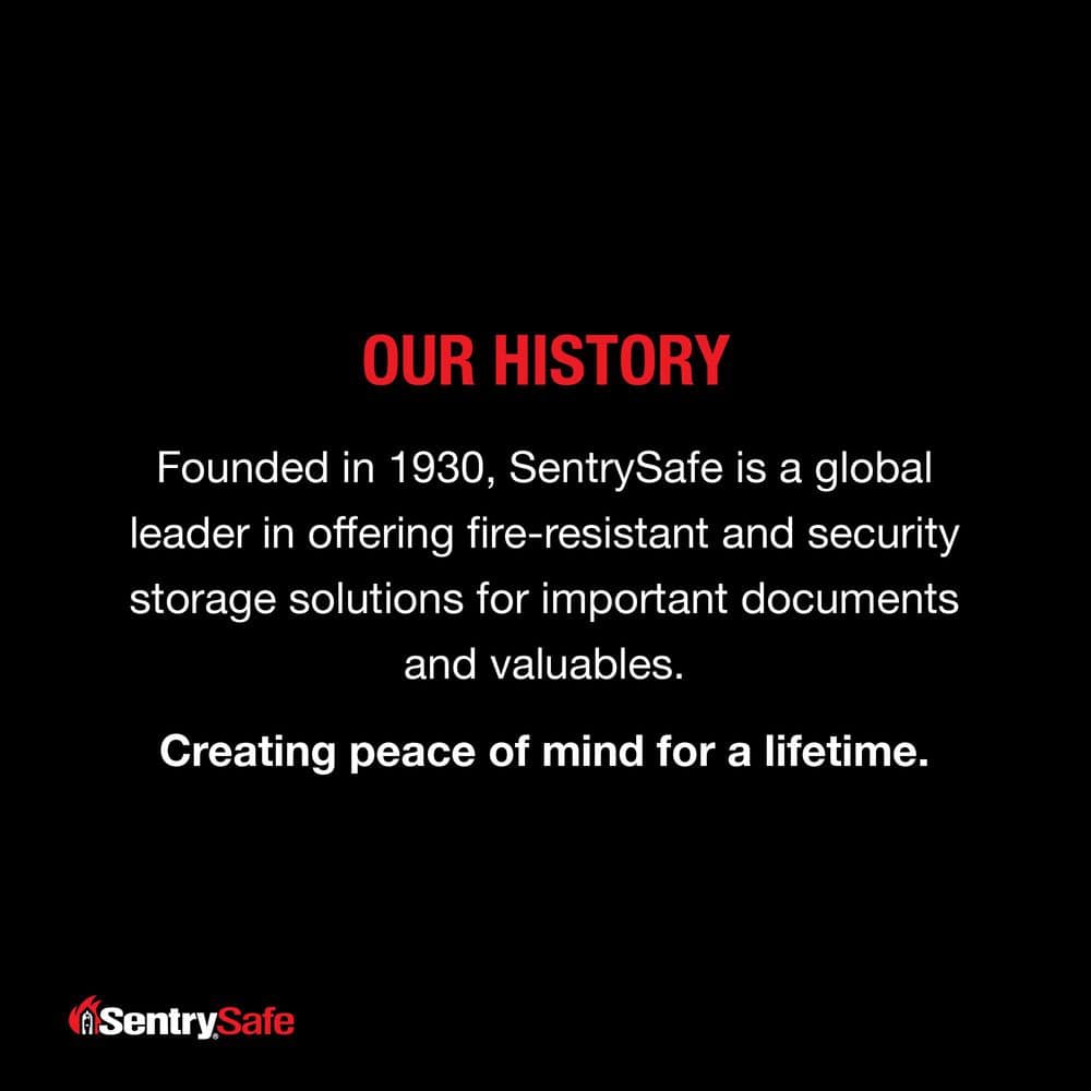 0.18 cu. ft. Fireproof Safe Box - Hercitys