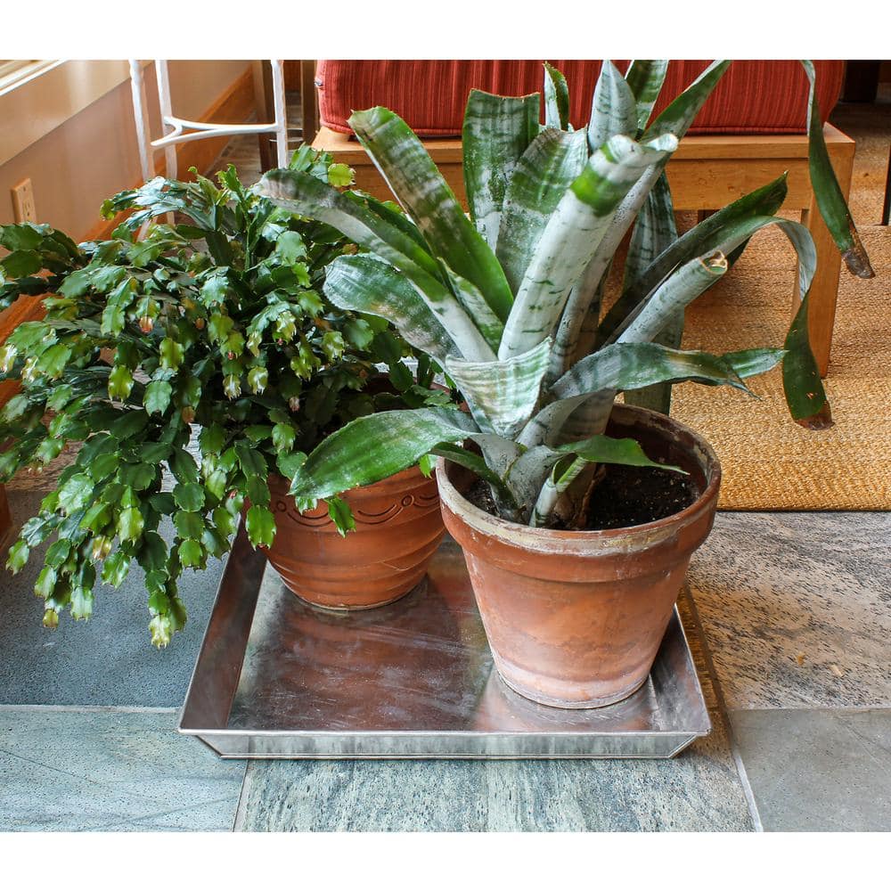 17 in. L Grey Steel Versatile Square Ash Pan - Hercitys