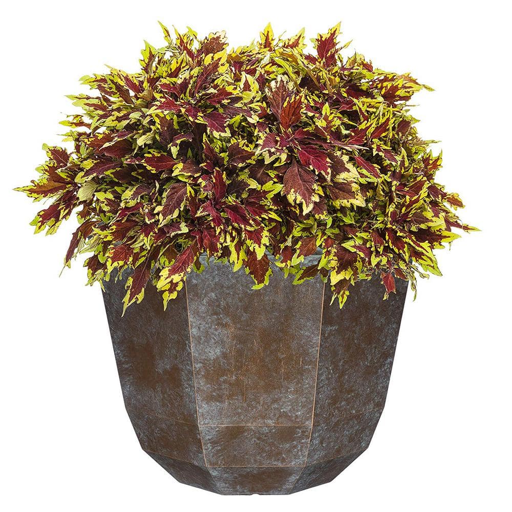 15 in. Weathered Copper Shaina Resin Planter - Hercitys