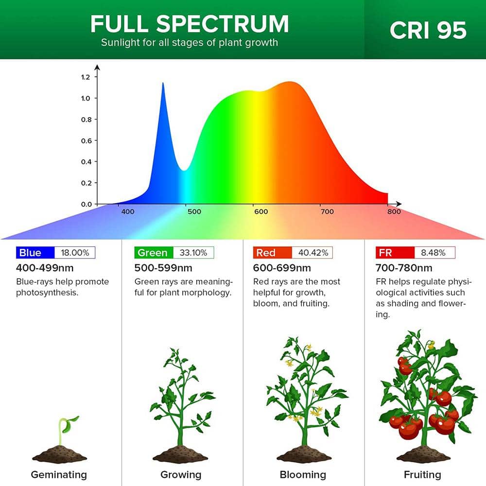 300-Watt Equivalence Black Full Spectrum 2-Head Gooseneck LED, 20-Watt Grow Light 4000K Daylight Clip-On High PPFD Plant - Hercitys
