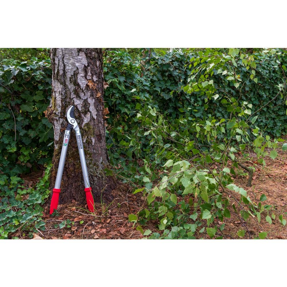 24 in. Lopping Shear, Bypass - Hercitys