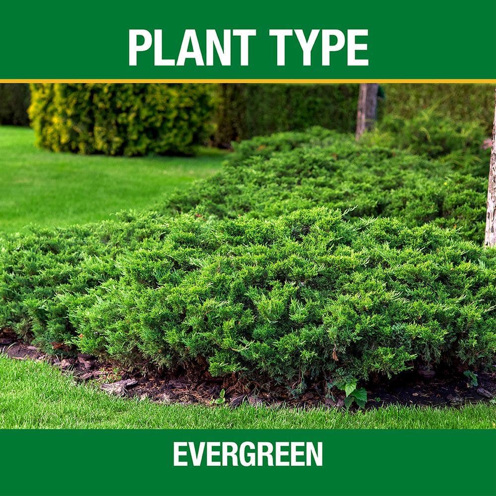 4.2 lb. All Season Tree and Shrub Fertilizer Spikes (12-5-7) (15-Count) - Hercitys