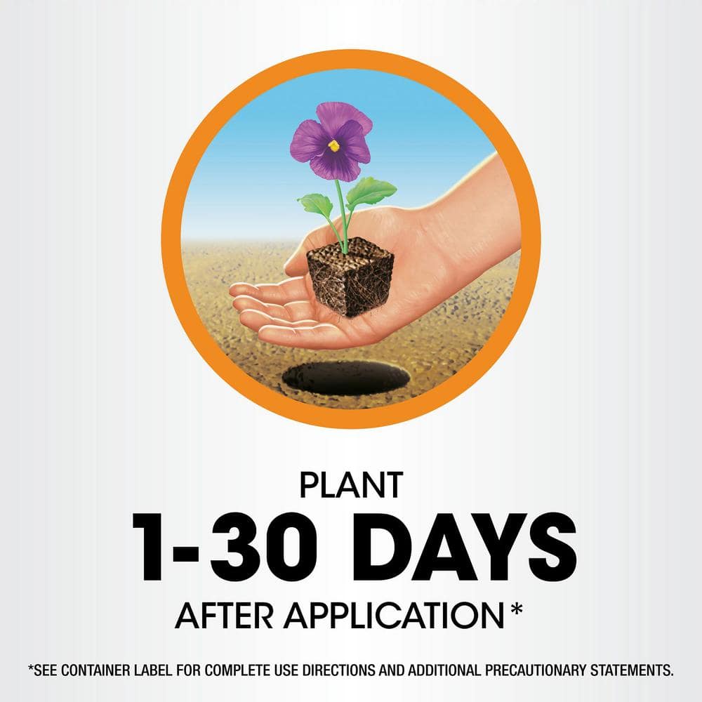 32 fl. oz. Poison Ivy Plus Tough Brush Killer Concentrate, Visible Results in Hours - Hercitys