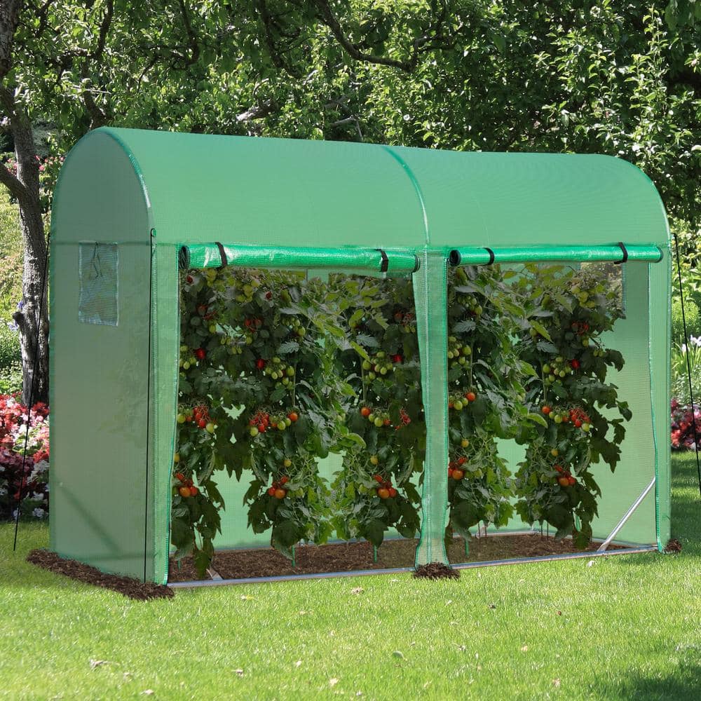 36 in. W x 120 in. D x 84 in. H Tunnel Greenhouse Outdoor Walk-In Hot House - Hercitys