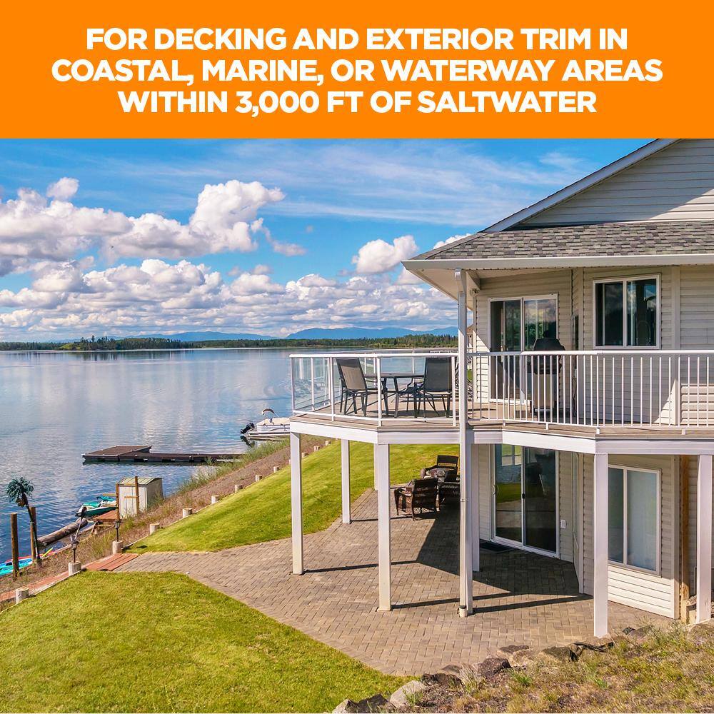 2-1/2 in. #8 316 Stainless Steel Stone Gray Premium Star Drive Trim Screws (350-Count) - Hercitys