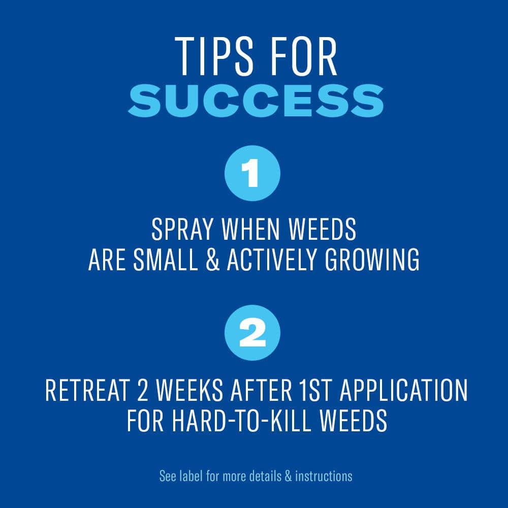 40 oz. Concentrate All-In-1 Lawn Weed and Crabgrass Killer - Hercitys