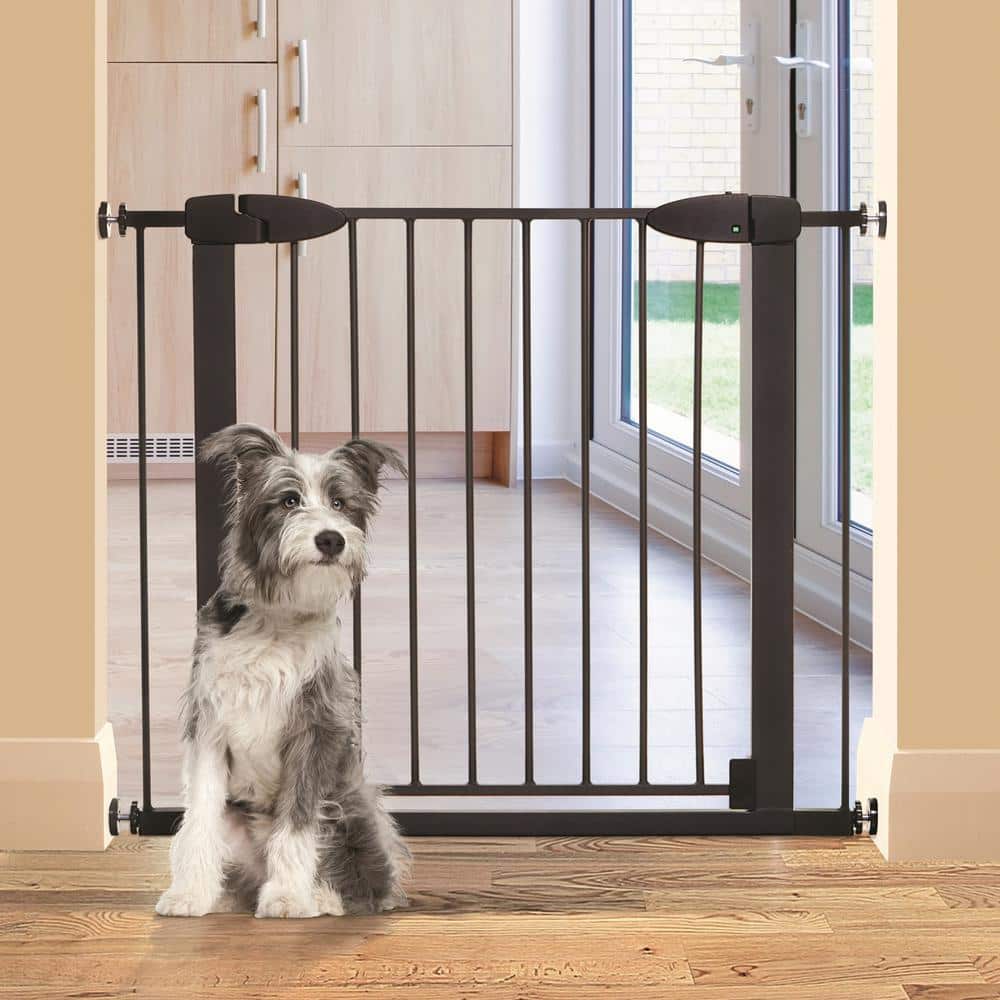 29in Tall Metal Boston 29.5 in.-38 in. W Pressure Mounted Auto-Close Baby Gate – Black - Hercitys