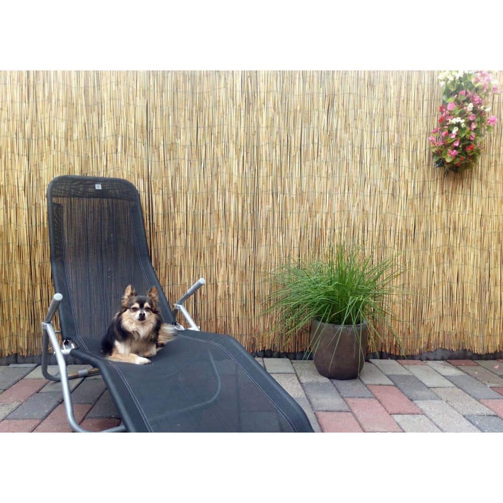 48 in. H x 168 in. W Natural Bamboo Reed Fence Panel - Hercitys