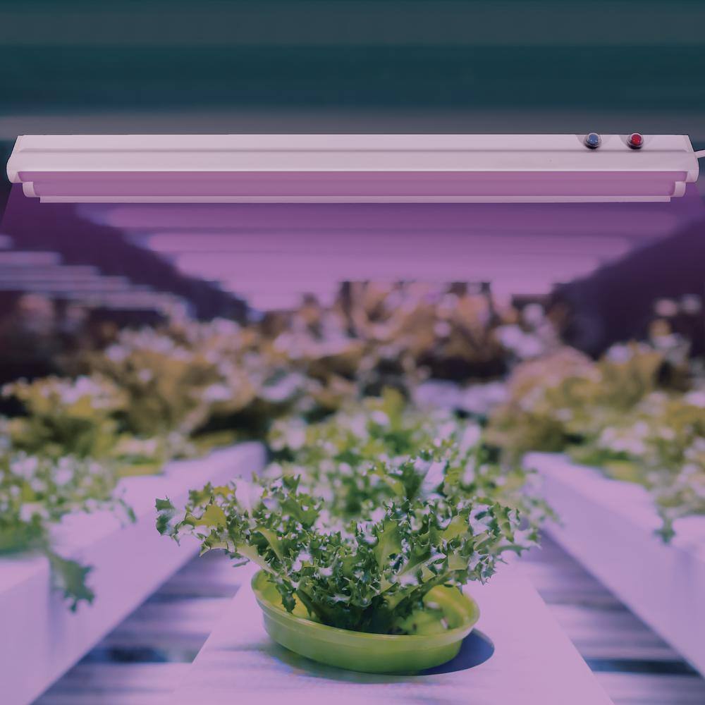 2 ft. 23-Watt White Grow Light Red Plus Blue Spectrum (2-Pack) - Hercitys