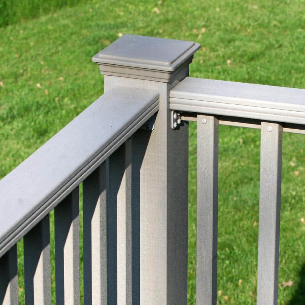 #8 x 3-1/8 in. Pheinox Stainless Steel Star Drive Trim Head Fin/Trim Finishing Screw (100-Pack) - Hercitys