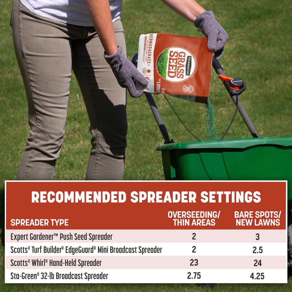 15 lbs. Bermudagrass Grass Seed - Hercitys