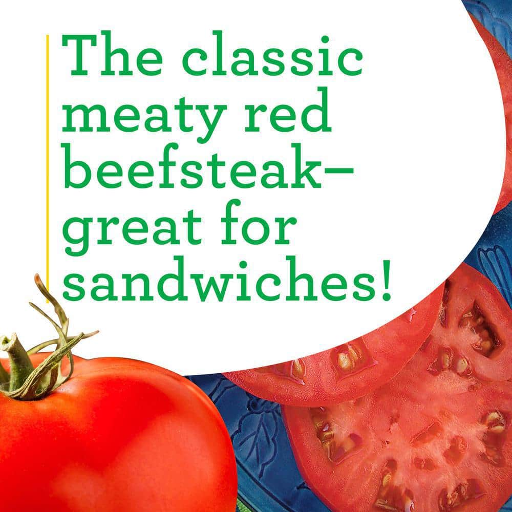 19 oz. Red Beefsteak Heirloom Tomato Plant (2-Pack) - Hercitys