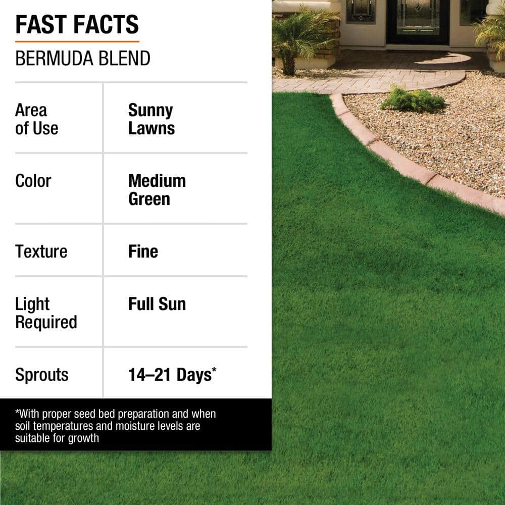 5 lbs. Bermuda Grass Seed Blend with Water Saver Seed Coating - Hercitys