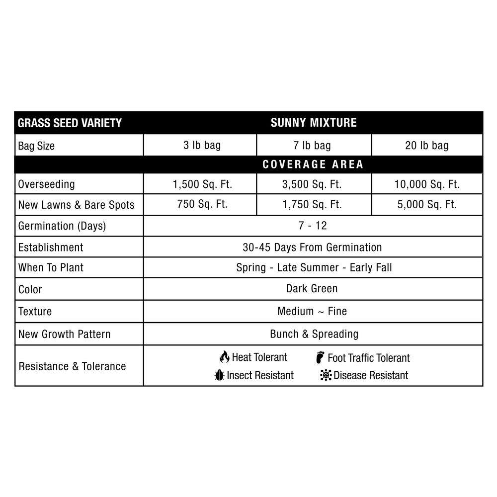 3 lbs. Pure Grass Seed Sunny Mixture – Covers up to 1,500 sq. ft. - Hercitys