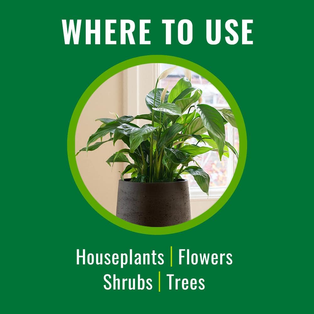 24 oz. Plant Insect Killer Ready To Use (2-Pack) - Hercitys