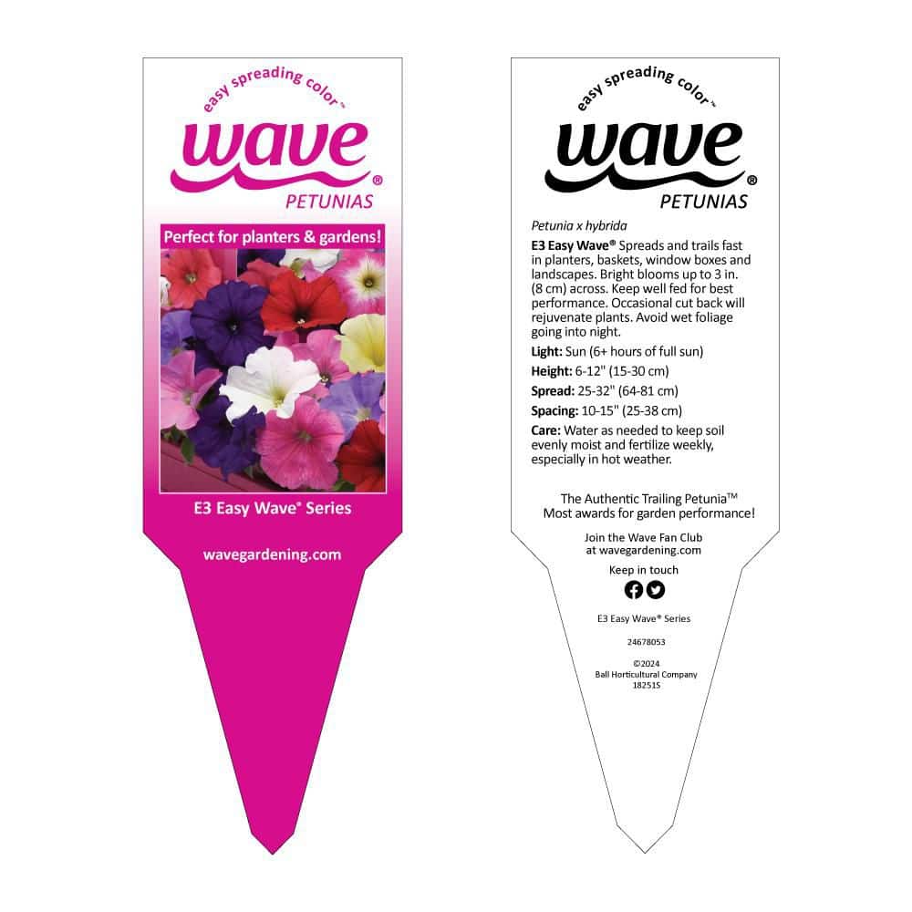 4-Pack White Easy Wave Petunia Annual Plant with White Flowers - Hercitys