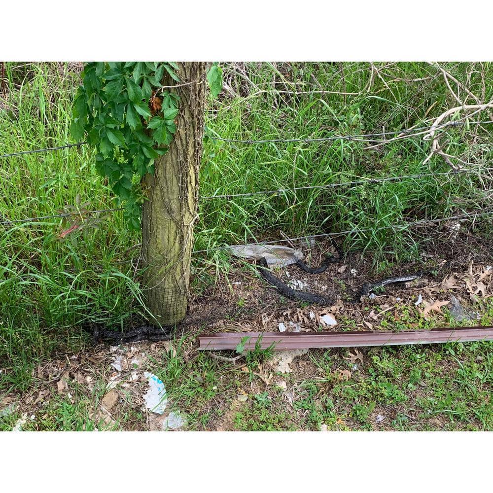 100 ft. Snake Trap and Fence-Style Snaring Kit - Hercitys