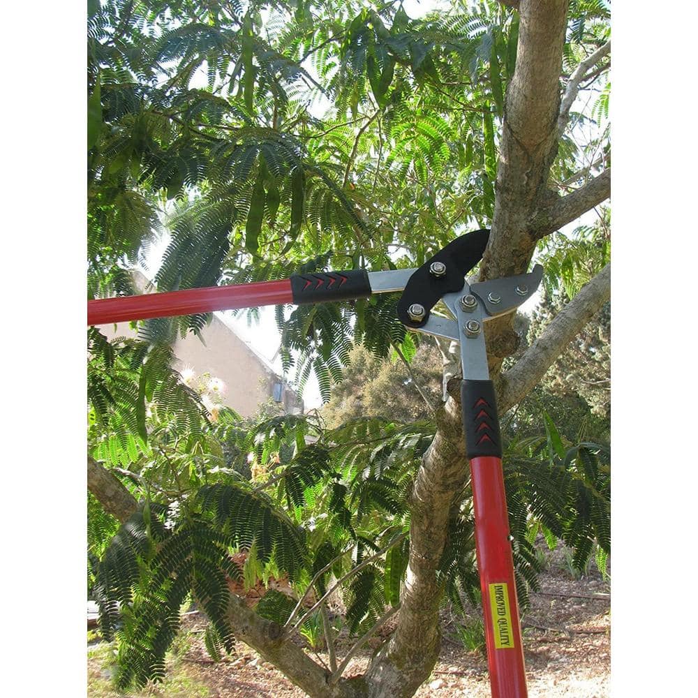 30 in. Tree Trimmer, Branch Cutter with 2 in. Cutting Capacity, Lopper - Hercitys