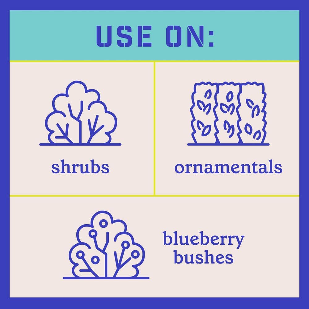 4 lbs. Rejuvenate Evergreen and Azalea Plant Food 4-3-3 - Hercitys