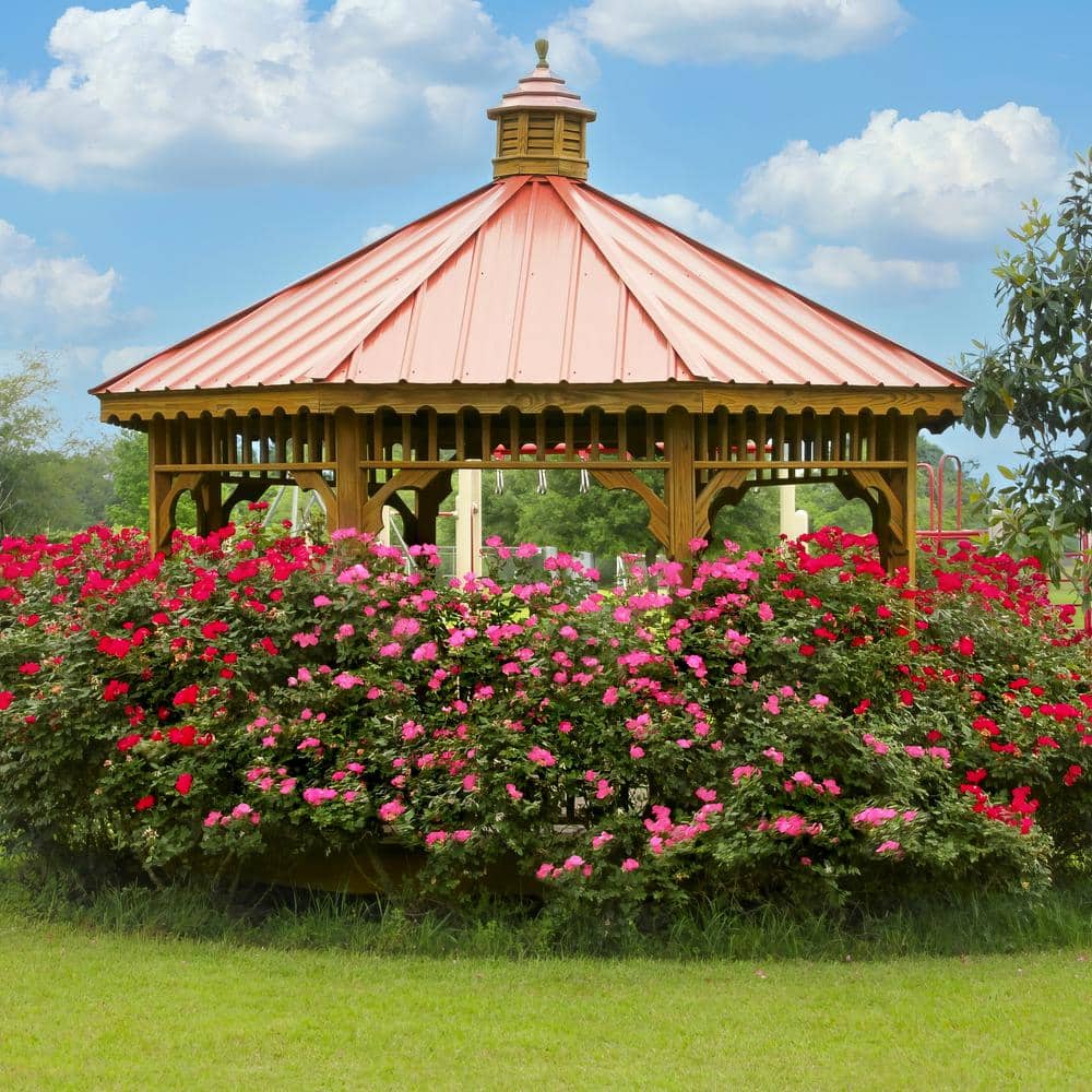 1 Gal. 2-N-1 Freedom Rose Plant with Pink and Red Flowers - Hercitys