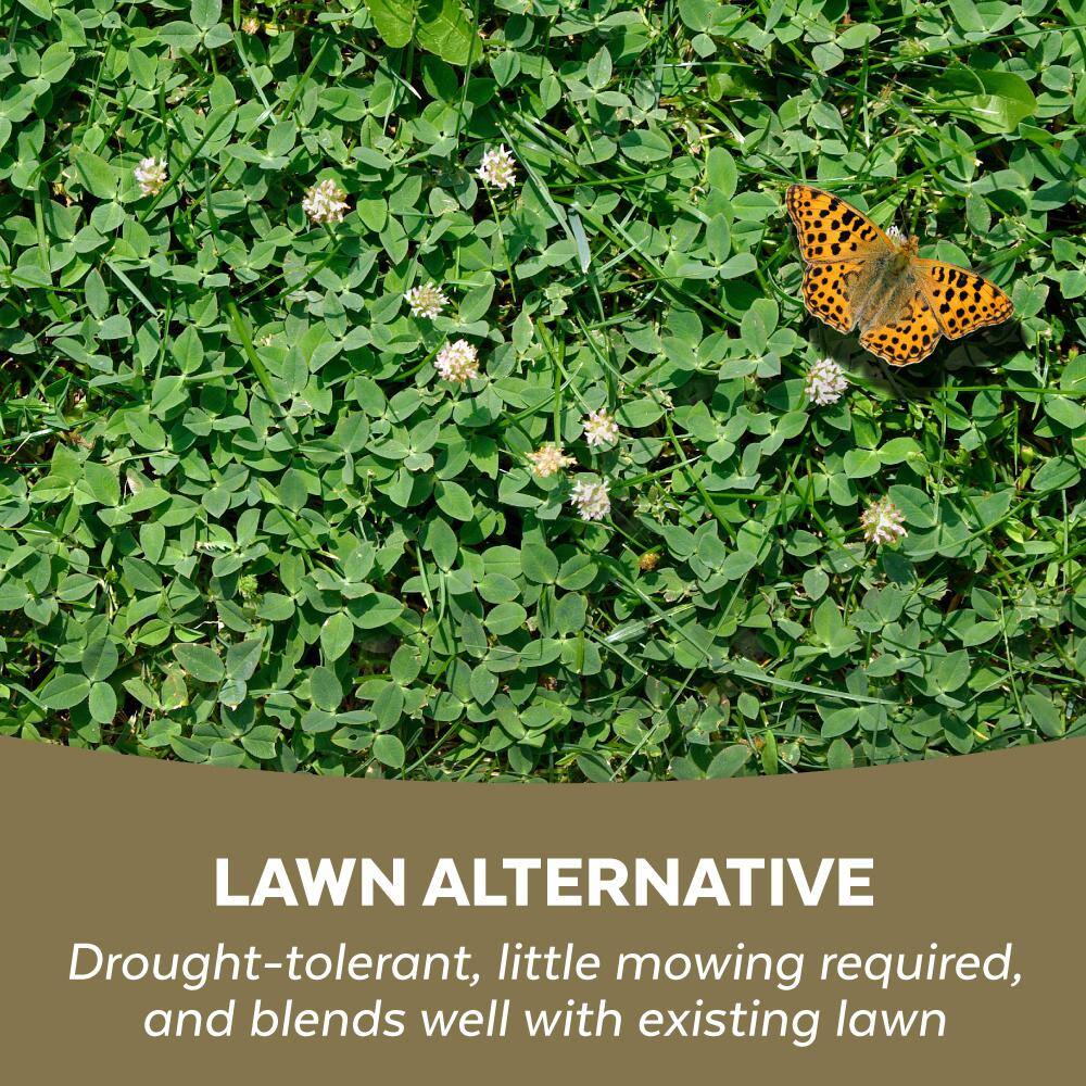 2 lb White Clover - Hercitys