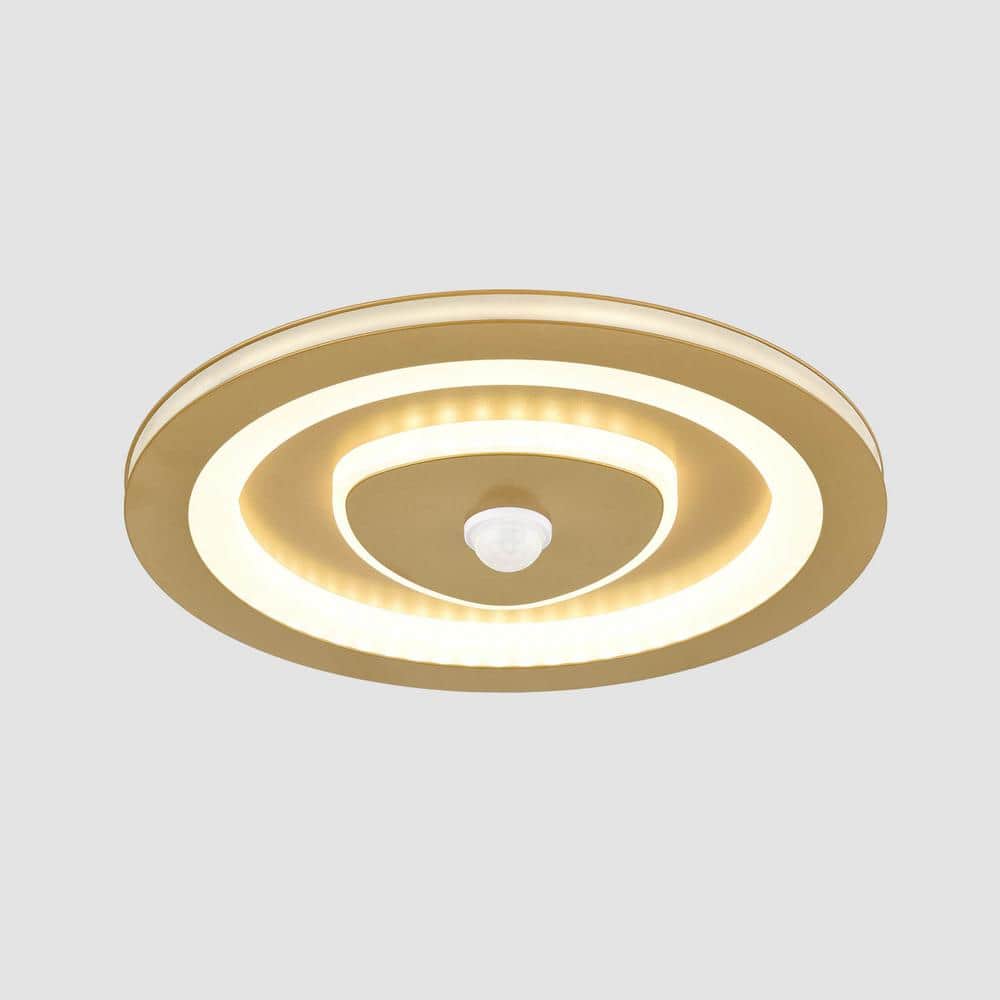 25 in. 1-Light Gold Flush Mount with No Glass Shade and No Bulbs Included 1-Pack - Hercitys