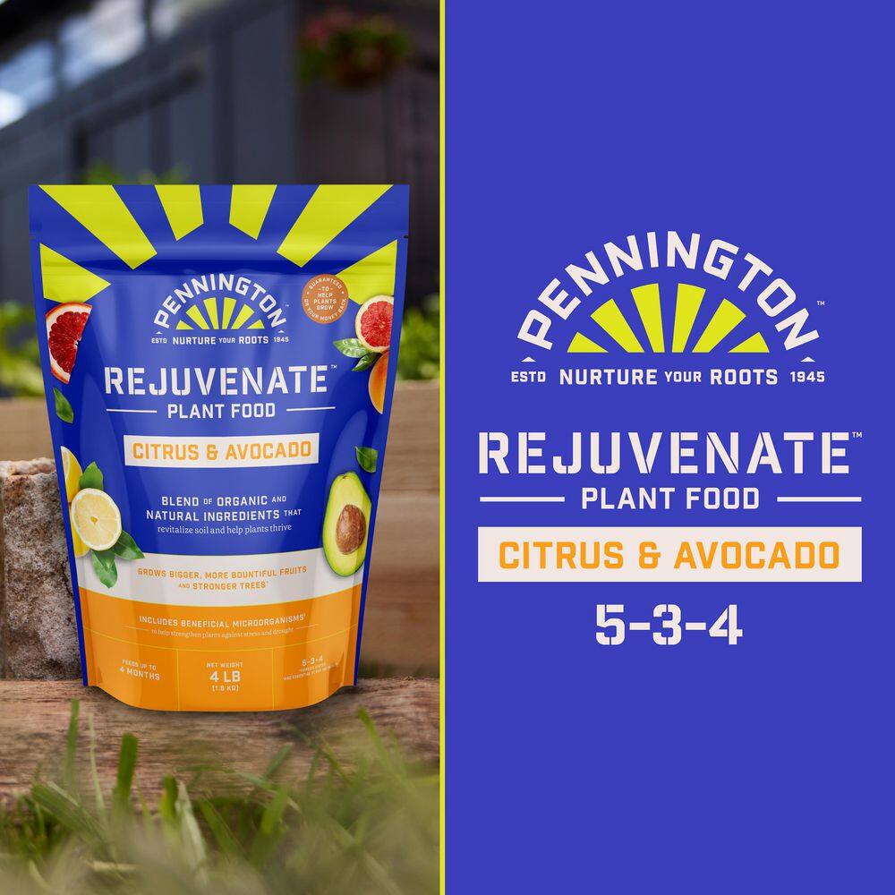 4 lbs. Rejuvenate Citrus and Avocado Plant Food 5-3-4 - Hercitys