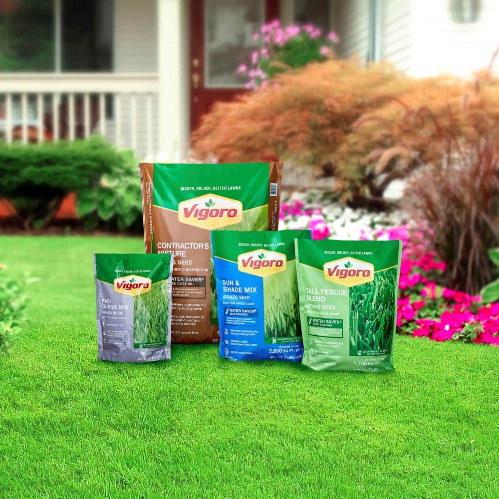 3 lbs. Fast Grass Seed Mix (2-Pack) - Hercitys