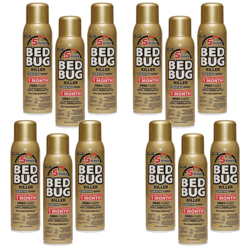 16 oz. 5-Minute Bed Bug Killer Foaming Spray/Kills All Life Stages (12-Pack) - Hercitys