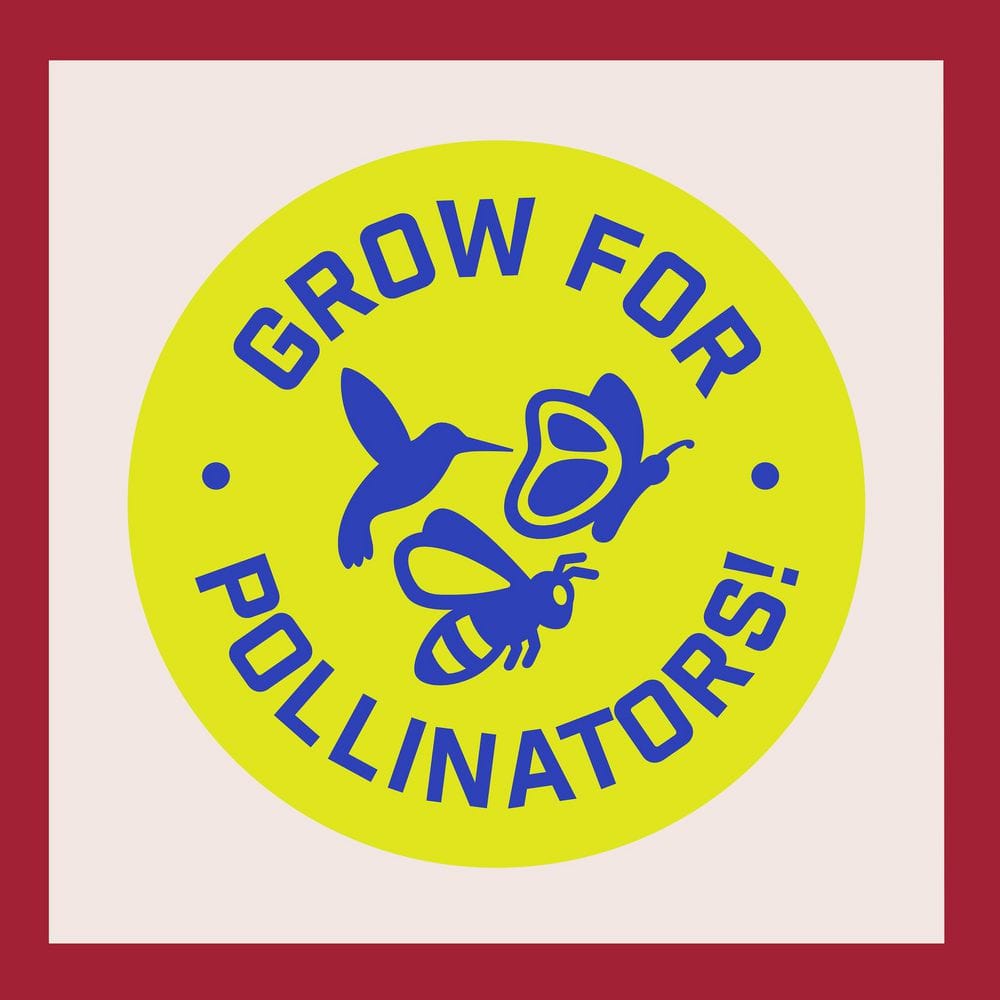 3 lbs. 10,000 sq. ft. Backyard Habitat Seed - Hercitys