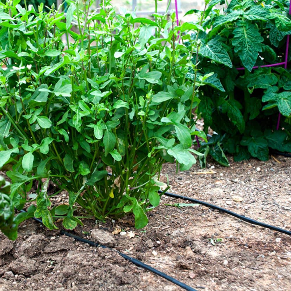 1/4 in. x 50 ft. Soaker Hose Dripline - Hercitys