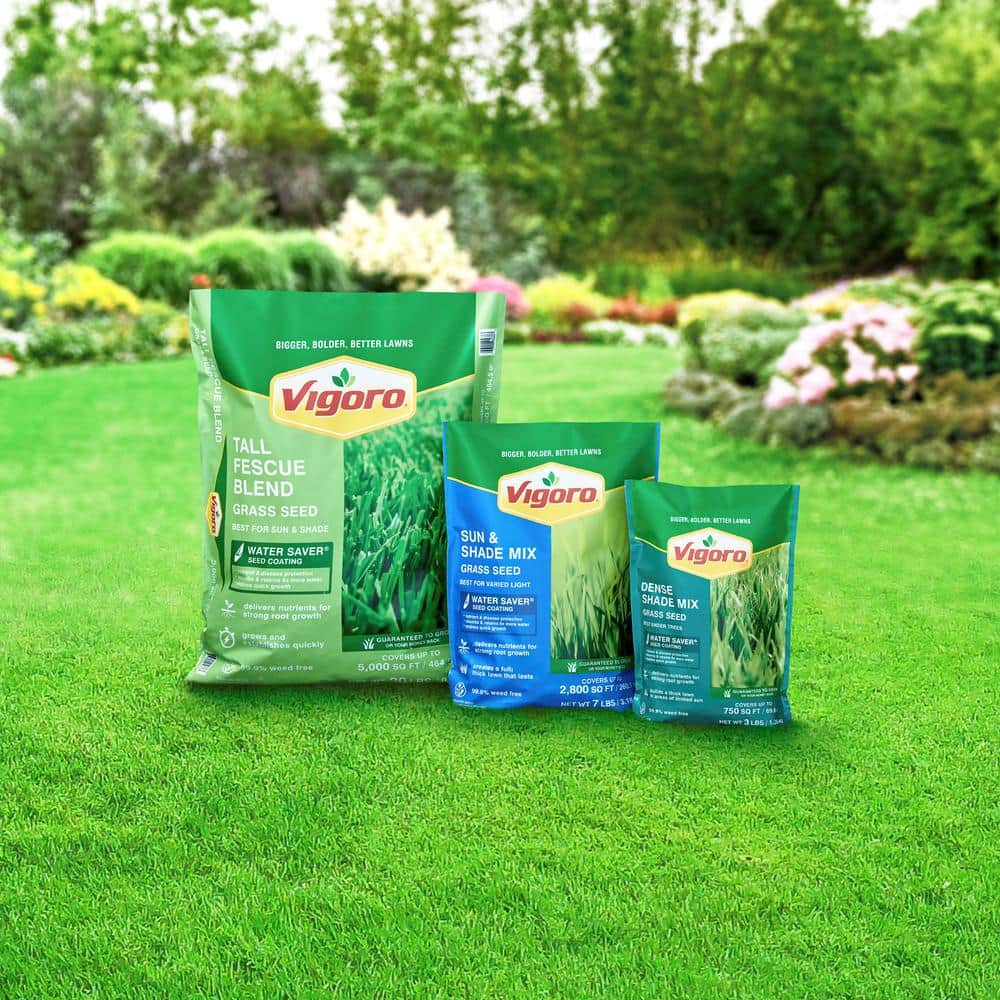 3 lbs. Dense Shade Grass Seed Mix with Water Saver Seed Coating - Hercitys
