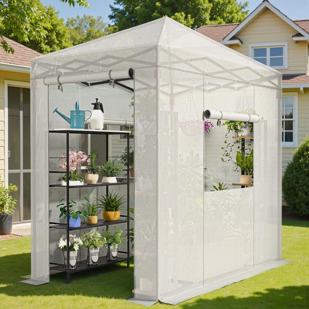 4 ft. W x 6 ft. D Collapsible Metal Walk-In Greenhouse, White - Hercitys