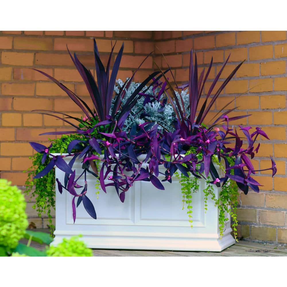 30 in. White Covington Trough - Hercitys