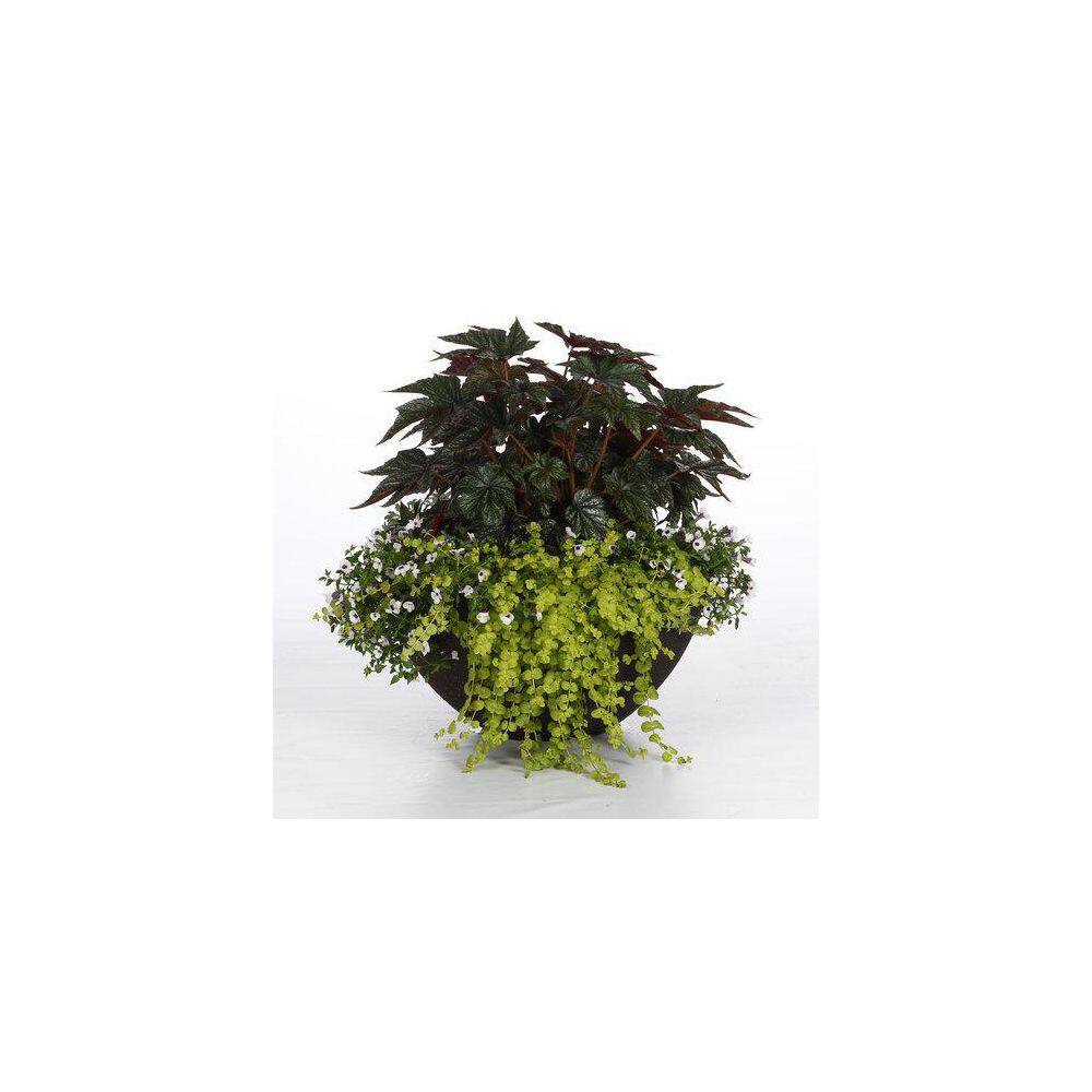 4.25 in. Eco+Grande Pegasus (Begonia) Live Plant, Green and Silver Foliage (4-Pack) - Hercitys