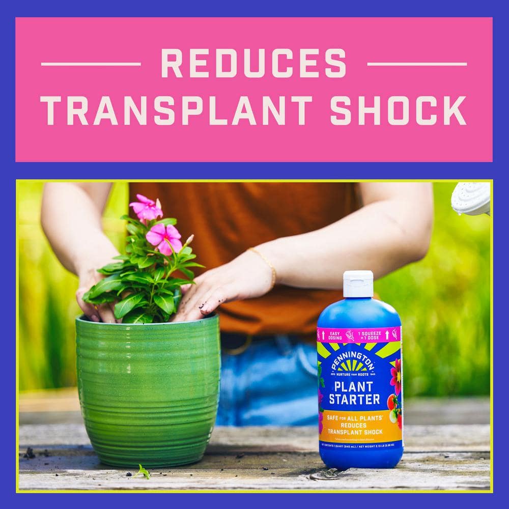 32 oz. Liquid Plant Starter with Easy Dose (2-Pack) - Hercitys