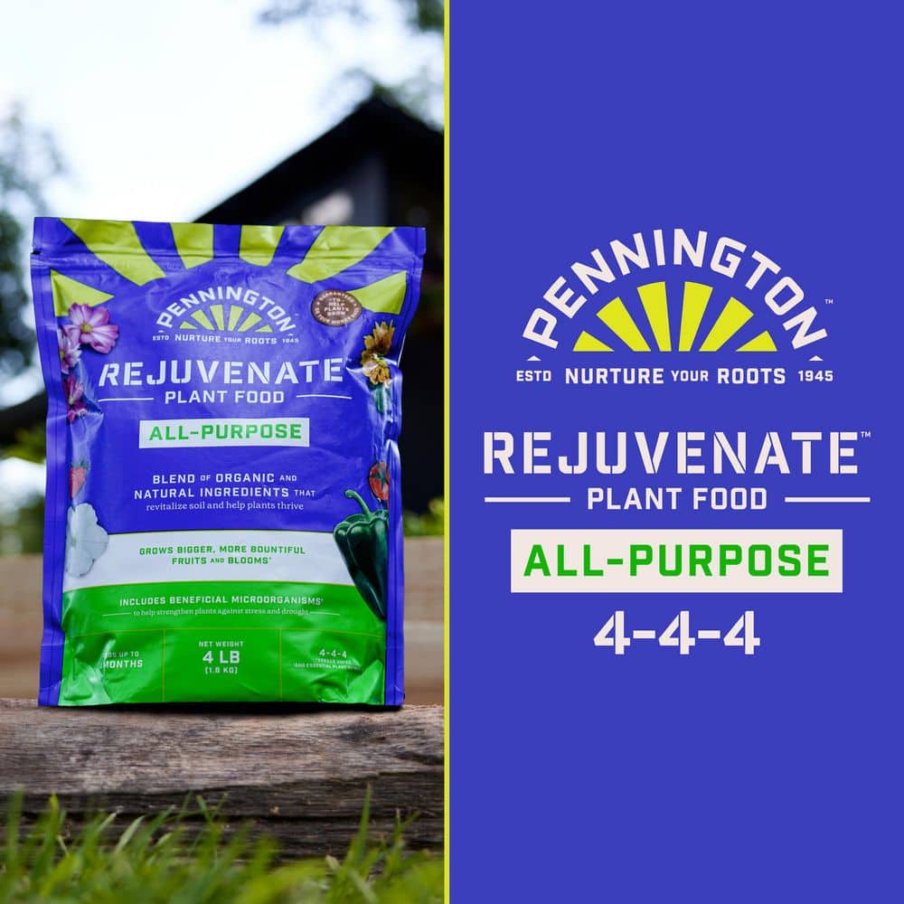 4 lbs. Rejuvenate All Purpose Plant Food 4-4-4 - Hercitys
