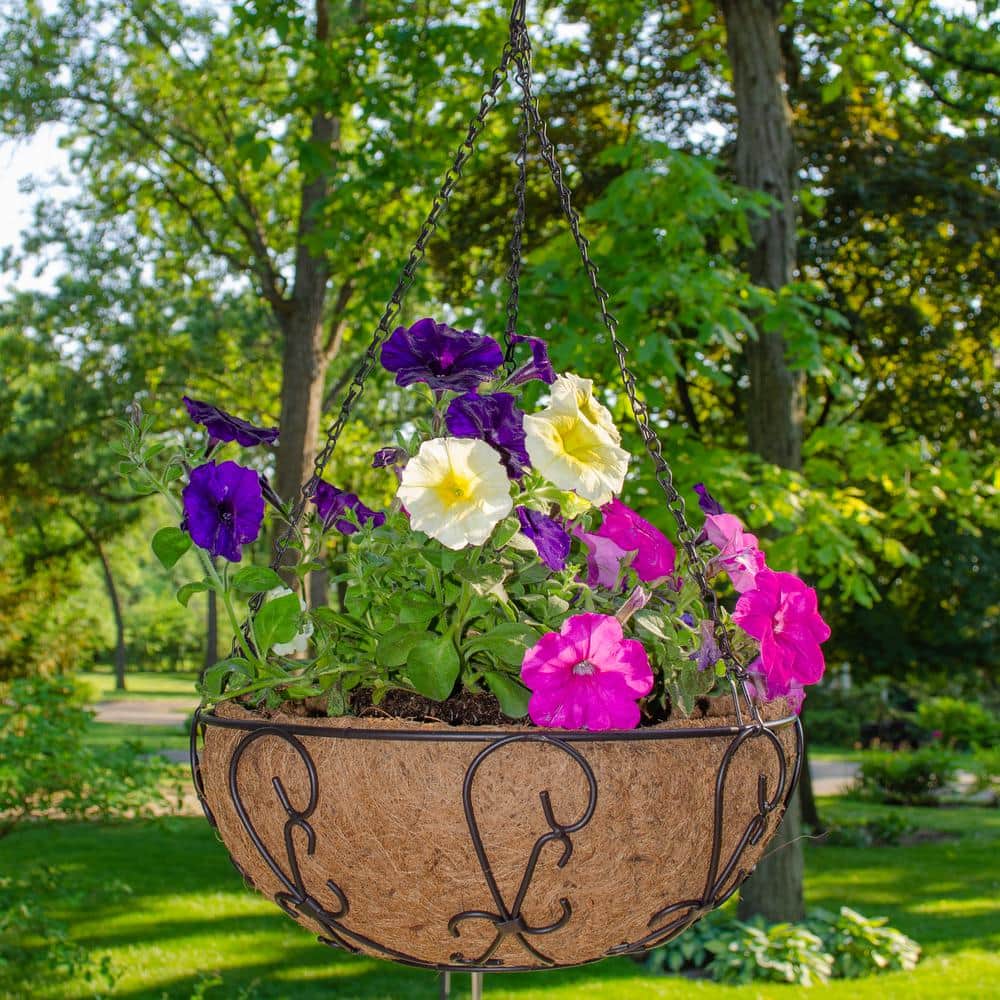 14 in. Painted Steel Filigree Hanging Basket with Coco Liner - Hercitys