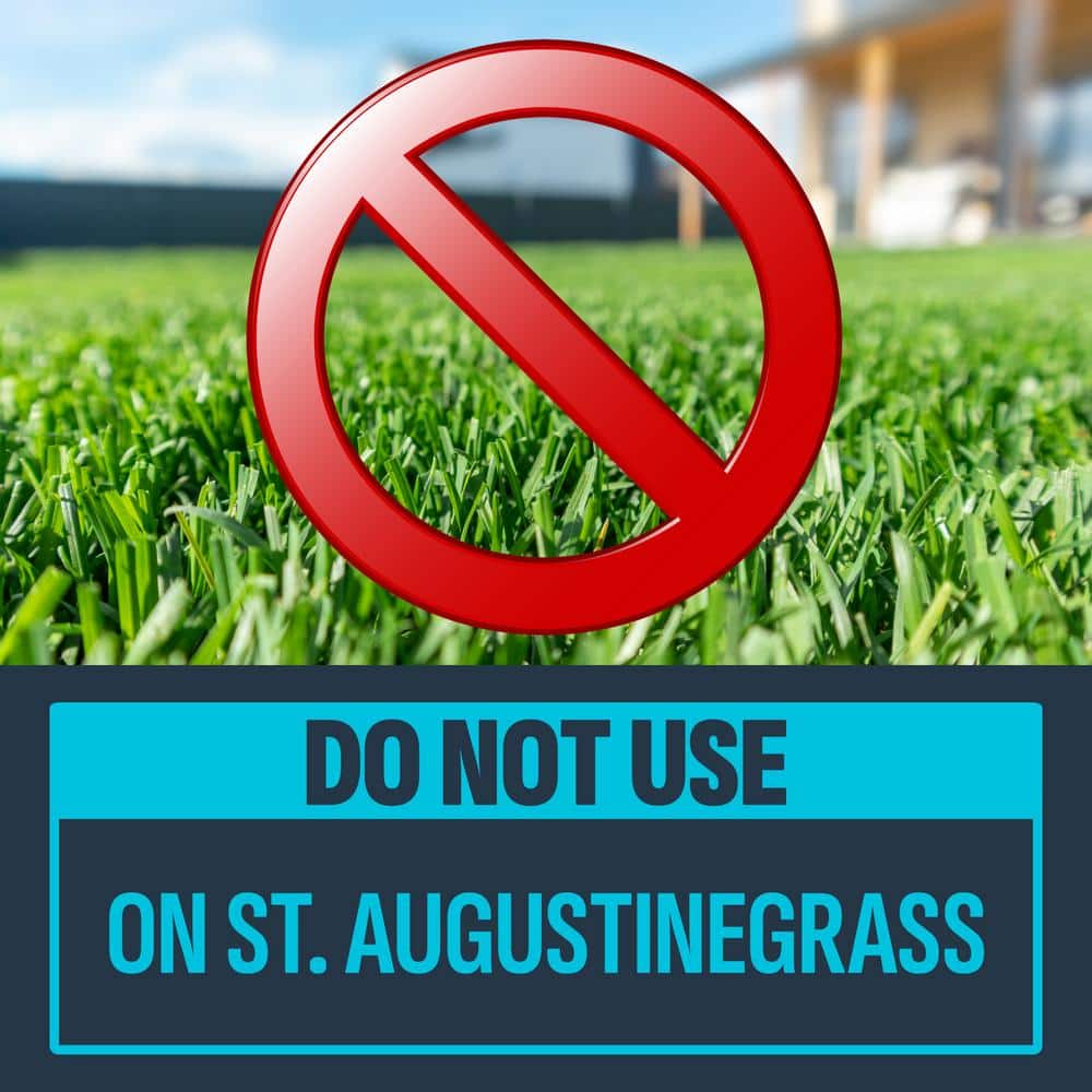 24 oz. 6,000 sq. ft. Crabgrass, Nutsedge and Weed Killer Ready to Spray - Hercitys