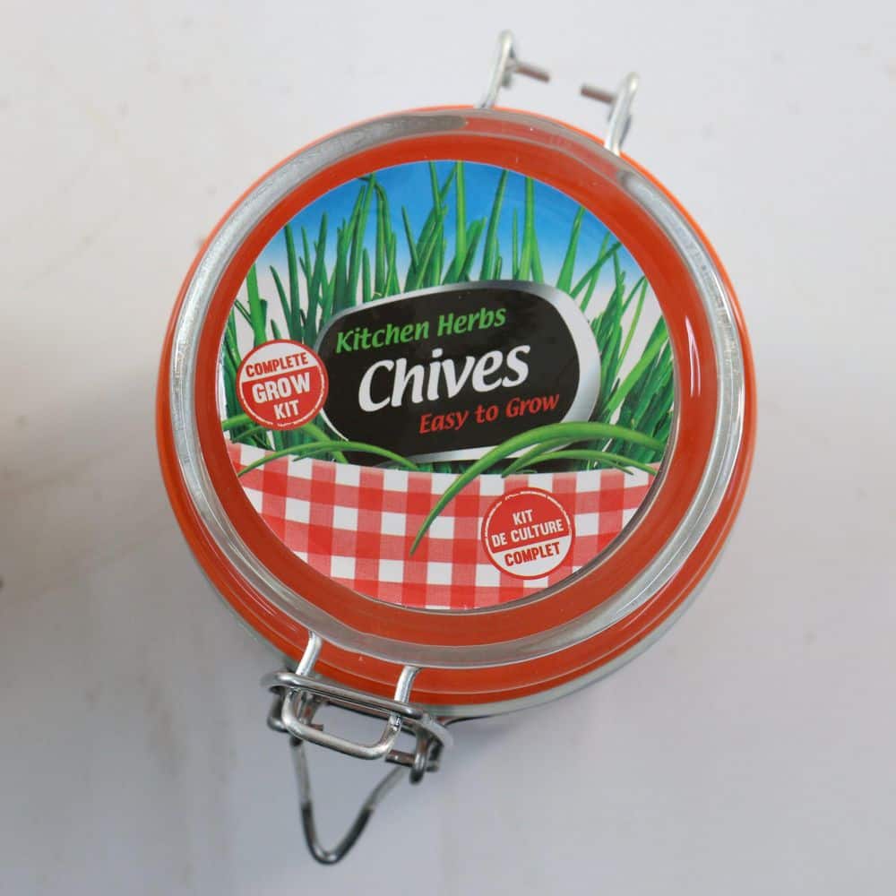 3.3 in. Chives Culinary Kitchen Herb Seed Grow Kit - Hercitys