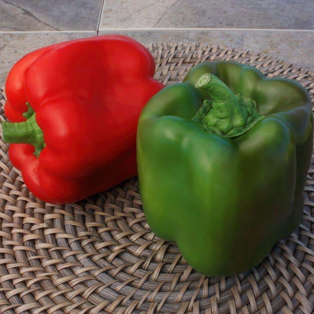 2.5 in. Chile Pepper Plant Collection (4-Pack) - Hercitys