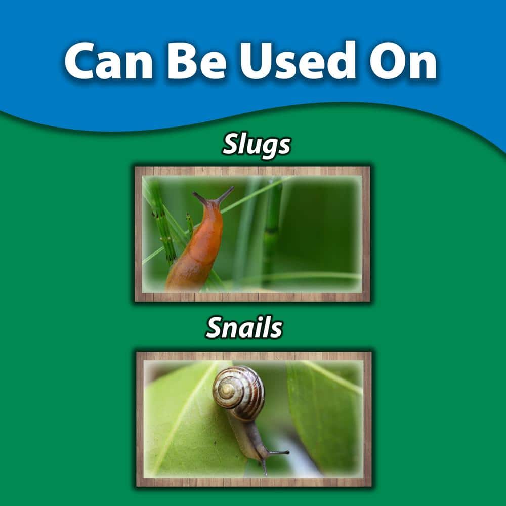 5 lb. Sluggo - Hercitys