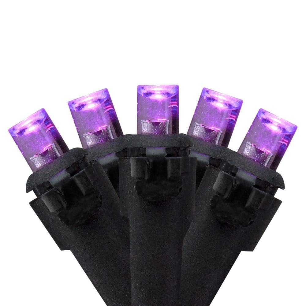 50-Count Wide Angle Purple LED Christmas Lights 16 ft. Black Wire - Hercitys