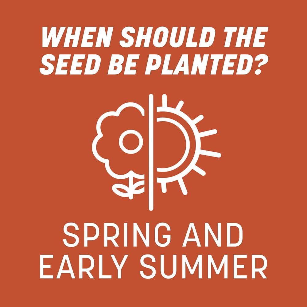 15 lbs. Bermudagrass Grass Seed - Hercitys