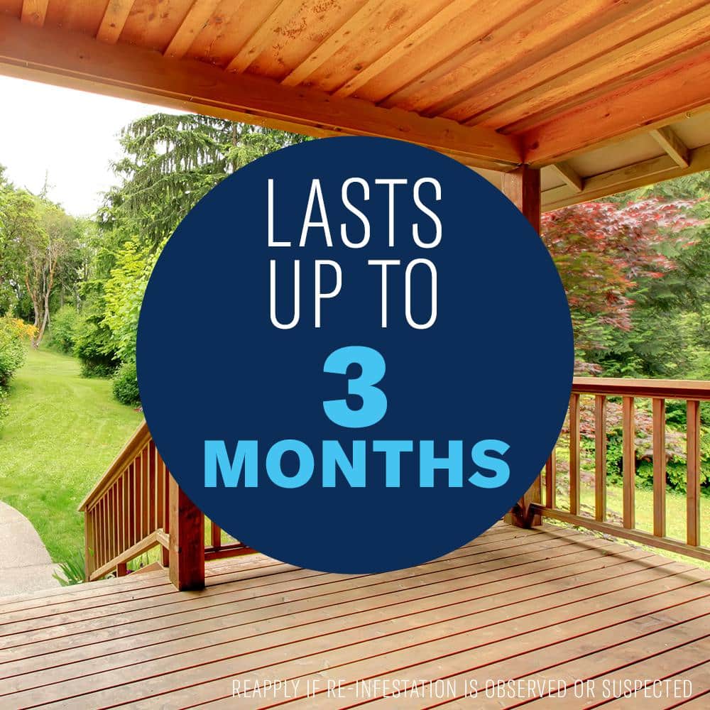 18 oz. Ready-to-Use Termite and Carpenter Bee Insect Killer Foam - Hercitys