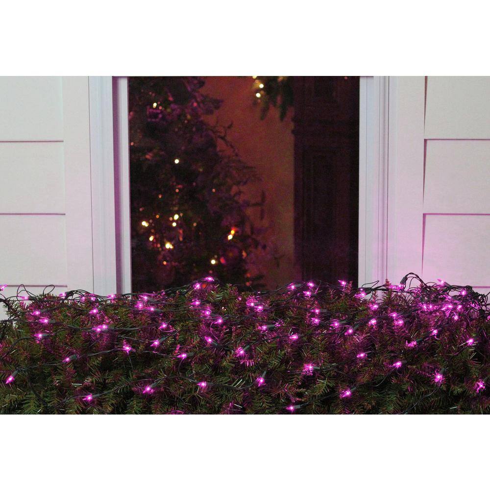 4 ft. x 6 ft. Purple Mini Net Style Christmas Lights with Green Wire - Hercitys