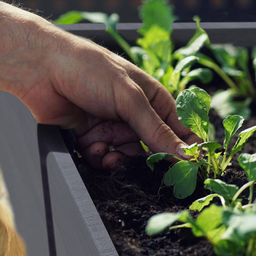 47 in. L x 23 in. W x 30 in. H Cedar Wood Raised Garden Bed, Elevated Planter Box with Liner, Gray - Hercitys