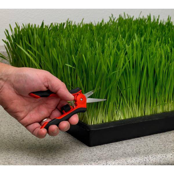2.25 in. Stainless Steel Blade with Soft Touch Grip Hydroponic Micro Snips - Hercitys