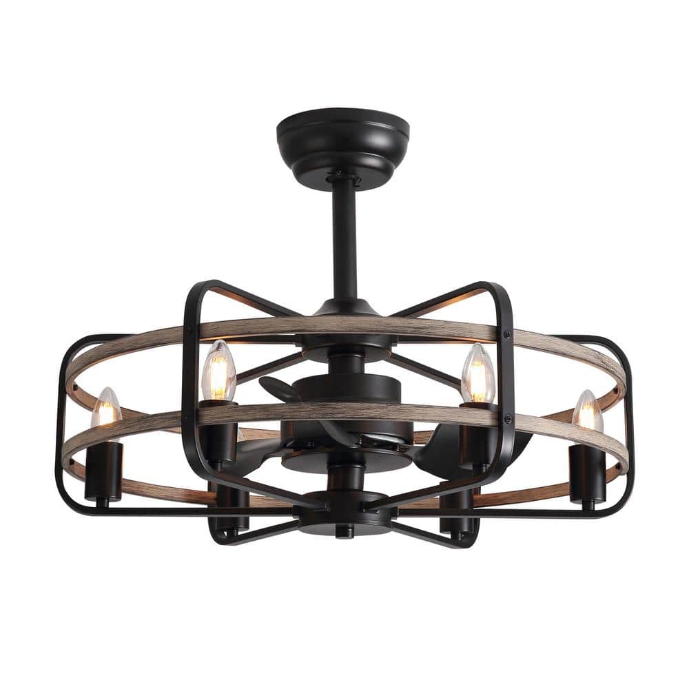 25 in. Indoor Black Caged Enclosed Ceiling Fan with Light Farmhouse Rustic Ceiling Fan with Remote and APP Control - Hercitys